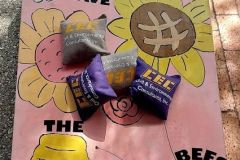 2023 Earth Day-Bay Day